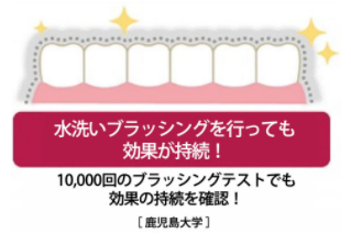 ピカッシュコーティング