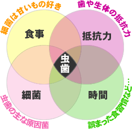 虫歯の条件