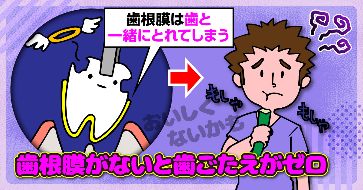 歯根膜