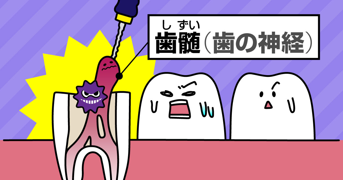 神経の役割