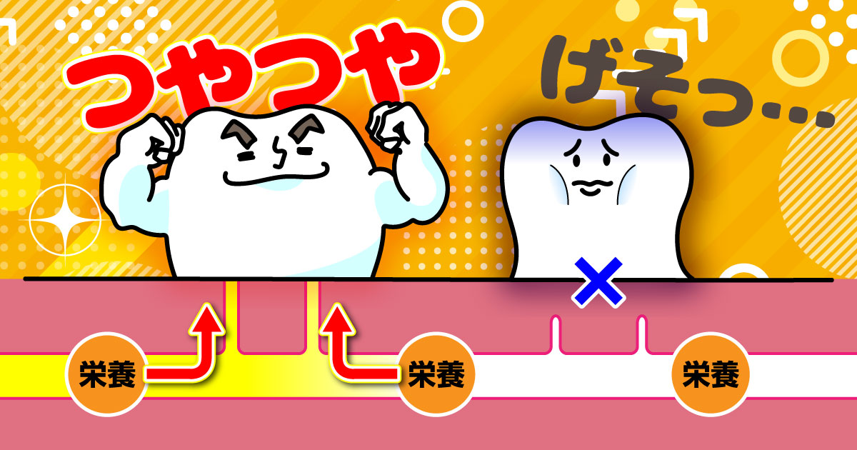 神経の役割